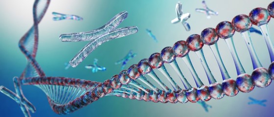 Chromosome and DNA, scientific background
