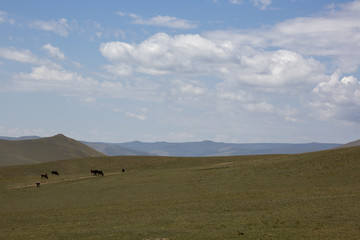 Fototapeta na wymiar Die Mongolische Steppe