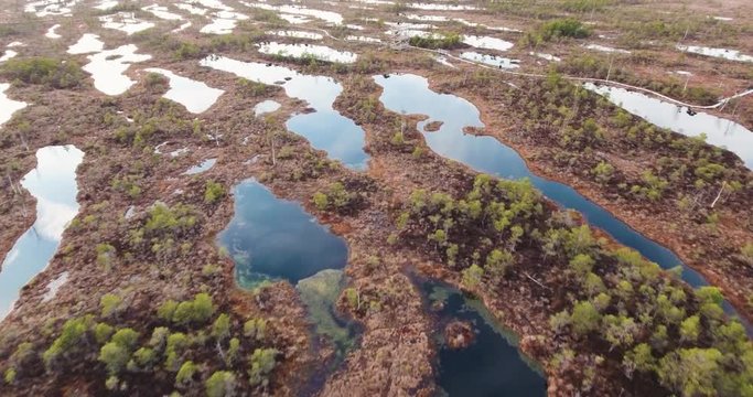 4K Aerial View. Flight Over Swamps at sunset.