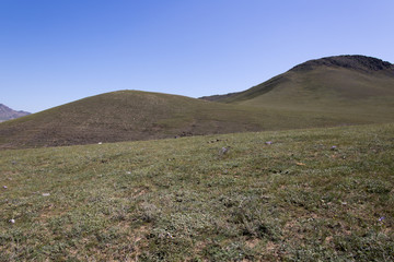 Fototapeta premium Gorchi-Tereldsch-Nationalpark - Mongolei