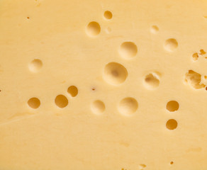 cheese background