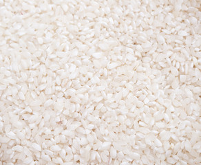 rice background