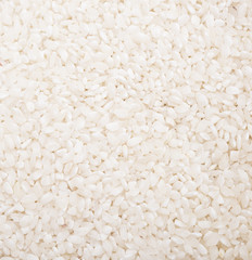 rice background
