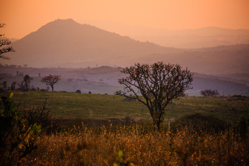 Landscape in Nyika National Park - Malawi