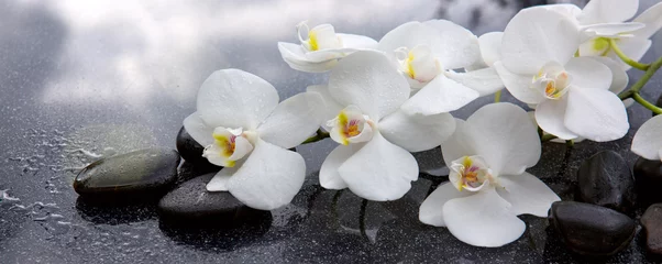 Crédence de cuisine en verre imprimé Orchidée Orchidée blanche et pierres noires se bouchent.