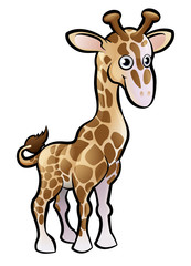 Giraffe Safari Animals Cartoon Character