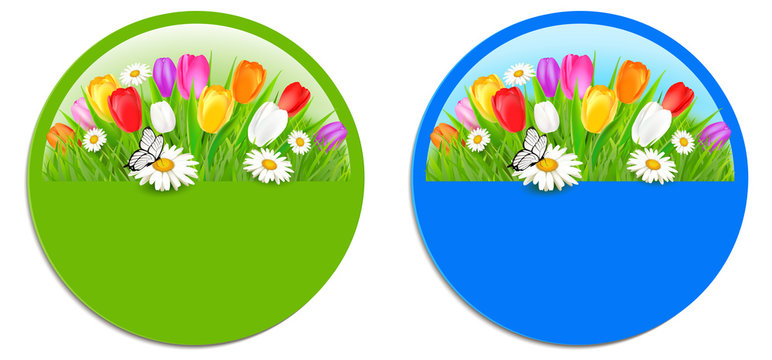 Button Set Vorlage - Blumenwiese mit Tulpen, Margeriten und Schmetterling