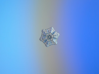 Real snowflake macro photo: small snow crystal of sectored plate type with simple hexagonal shape, glossy and relief surface with six deep rows, which divide snowflake to sectors.