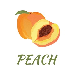 Peach. Flat design. Vector illustration. Ripe fruits for Your ideas.