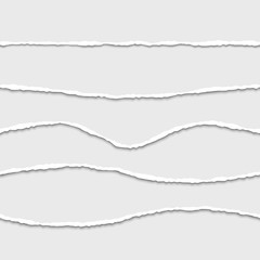 Fototapeta premium Torn paper edge seamless dividers vector set.