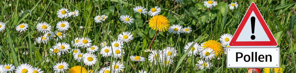Panorama Warnschild Pollen