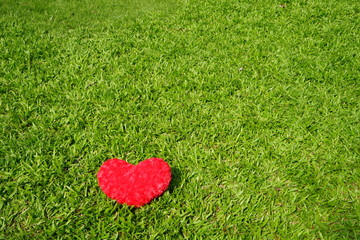 red heart on the green grass