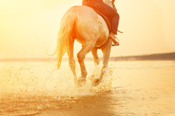 Horse feet. Hooves hit the water, raise splashes and splashes against the sunset. Summertime scene