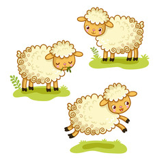 Cute cartoon sheep set. Character Design. A collection of vector illustration with sheep is standing, chewing, jumping. Cute animal in the cartoon style.
