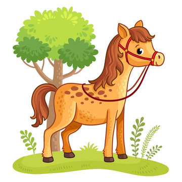 Cartoon horse standing in a meadow next to a tree. Vector illustration with cartoon animals.