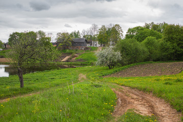 Spring rural landscape during the flowering of Apple trees and dandelions. On the mountain stands a large wooden house, the house is a road through the blossoming garden, near the lake.