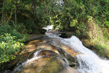 clear river flowing through the green forest