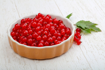Red currants