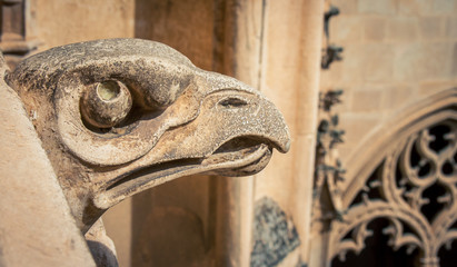 gargoyle toledo spain
