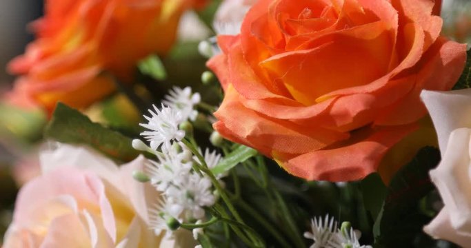 Micro shot of the Flowers