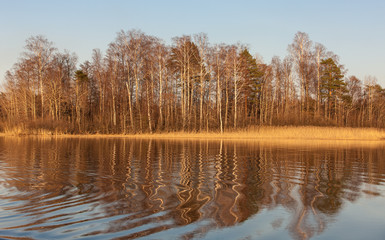 reflections on a forest lake
