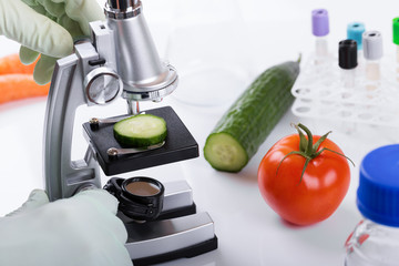 food quality control concept - scientist inspecting cucumber with microscope in laboratory
