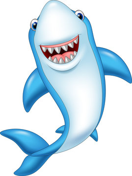 Cartoon smiling shark isolated on white background