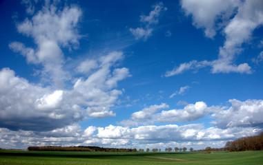 Landschaft bei Ludort / Müritz