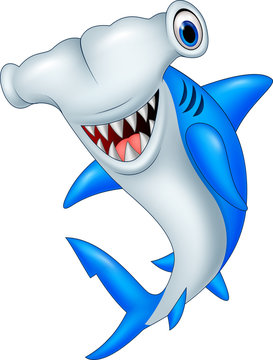 Cartoon hammerhead shark