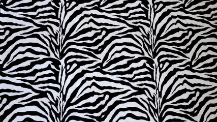 tessuto di zebra bianco e nero   © africa