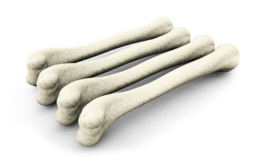 medically accurate 3d illustration of the femur