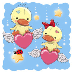 Cute Lovers Ducks