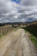 Fototapeta premium Chemin dans le vignoble Limouxin, Aude, Occitanie dans le sud de la France