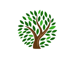 Green : Logo Template v23
