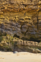 colorful texture of sea stone