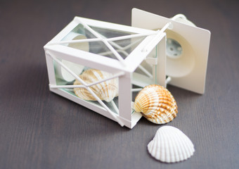 shell out of a box