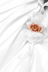 Obraz na płótnie Canvas Fiore arancione dentro un vestito bianco 
