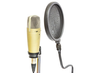 Professional condenser microphone with pop filter