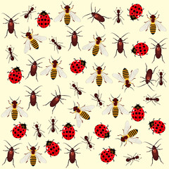 Pattern of insects on a light background