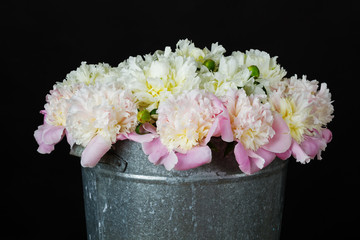 pink and white peonies in a metal bucket