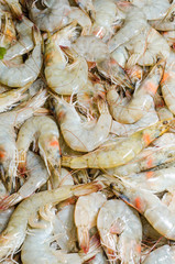 Gamberetti, Gamberoni, Scampi