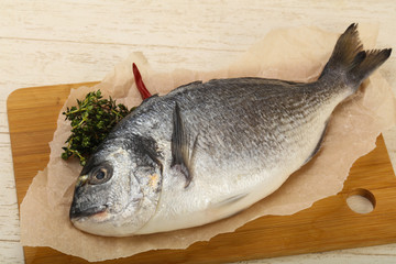 Fototapeta premium raw dorada fish