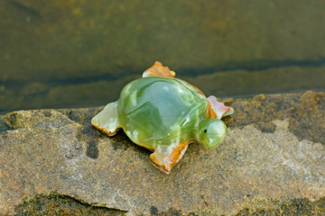 Figurine green jade tortoise symbol and luck charm on stones in the water near the river in its environment
