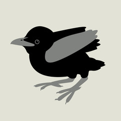 baby Raven vector illustration style Flat 