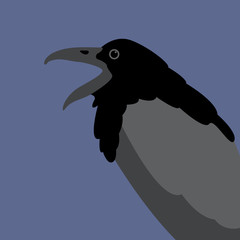 Raven vector illustration style Flat 