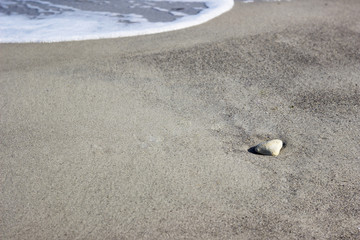 Little stone on a beach . Sea water wave