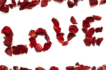 Inscription love from the petals of a red rose on the white background