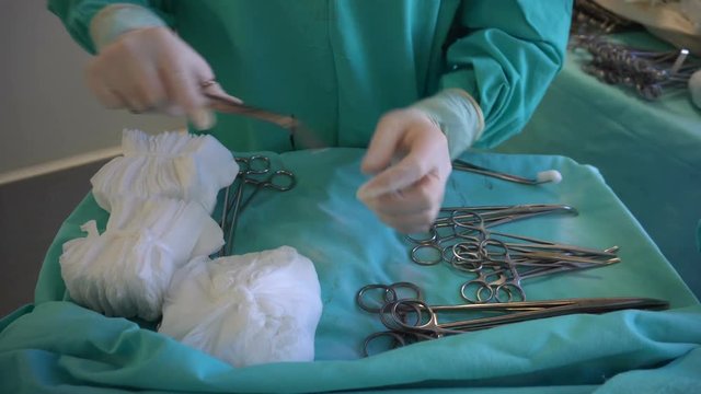 Surgeon in blue gloves preparing instruments before surgery. Wipe surgical clamp.