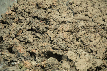 Pile made clay and tree leaves mix.