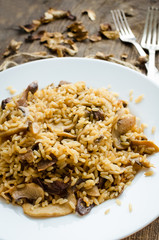 Homemade traditional Italian mushroom risotto